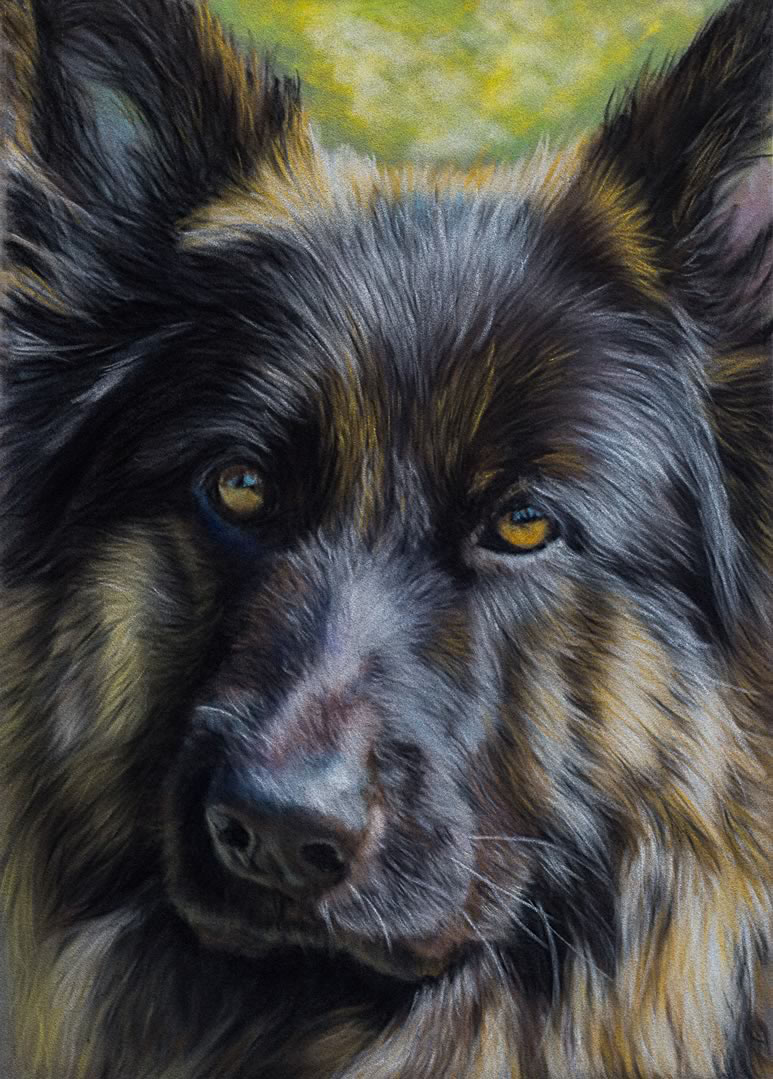 German Shepherd Velour Paper