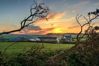 Borthwen Barns